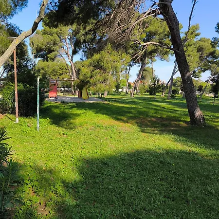 Apartment Gana Zadar